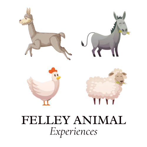 Felley Animal Experiences